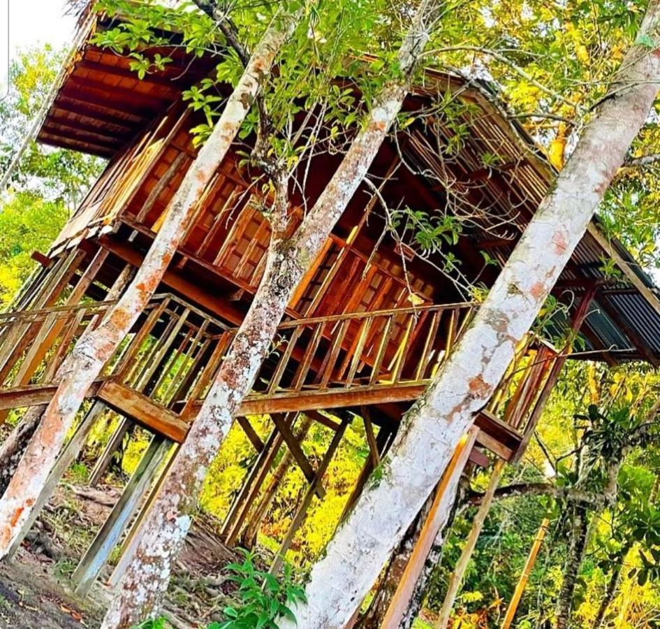 Hotel Karupa Amazonas Leticia Bagian luar foto