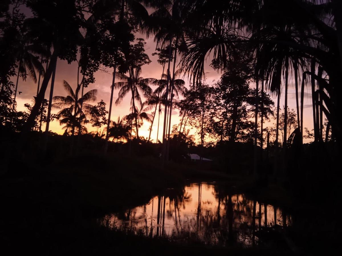 Hotel Karupa Amazonas Leticia Bagian luar foto